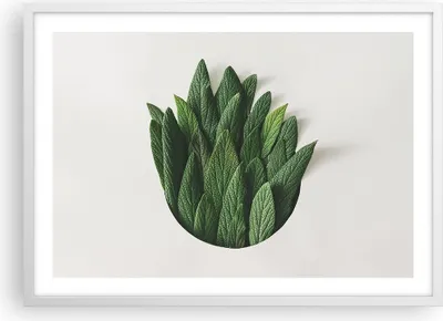 Produktbild von Gerahmtes Poster - Weißer Rahmen - Salbei Medizin Blätter - 70x50 cm - Wand Bild - Wanddeko - Wandbilder - Kunstposter - Wandposter - Bilderrahmen - Bilder - Kunstdruck - P2WAA70x50-4859