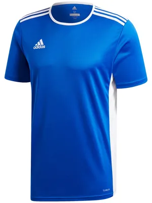 Image de Maillot de football Adidas « Entrada 18 » pour homme PP723 (L) (bleu)