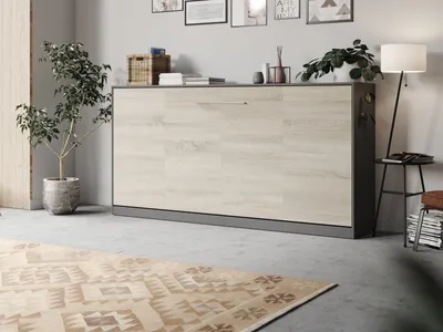 Produktbild von Schrankbett Frotto 90x200 cm Horizontal Anthrazit/ Eiche Sonoma mit Gasdruckfedern