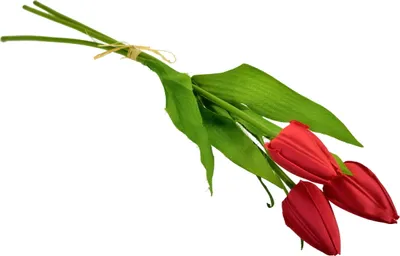 Zdjęcie produktu dla Zestaw 3 czerwonych tulipanów 50 cm