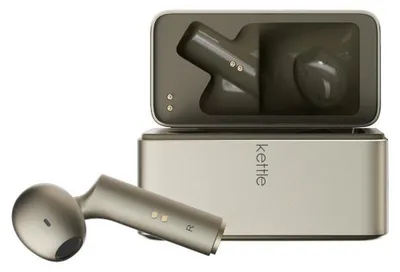 Produktbild von Timekettle W4 Gold