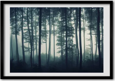 Produktbild von Bild - Bilderrahmen - 100 cm x 70 cm - MDF - Rahmen - Foto - Wandkunst Wald im Nebel