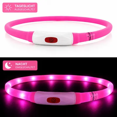 Produktbild von Premium LED Hundehalsband USB aufladbar leuchtend Leuchthalsband verstellbar S–L für Hunde Nacht Sicherheit inkl. Ladekabel (Gr. S - 45cm lang) - PINK, KI-generiertes Bild
