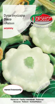 Produktbild von Samen des Gewöhnlichen Kürbisses - Torsaat