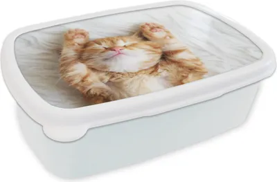 Produktbild von KitchenYeah® Lunchbox Brotzeit Brotdose 17x11 cm Katze - Rot - Haustiere - Kätzchen Kinder Brotzeitdose - Lunch Box - Kinder - Sandwich-Box - Schulbox - Lunch Boxen