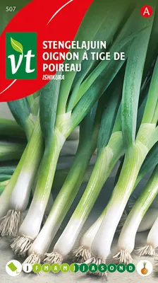 Produktbild von Zwiebelset Stengelajuin Ishikura Samen - Ca. 3 gr | VT_507