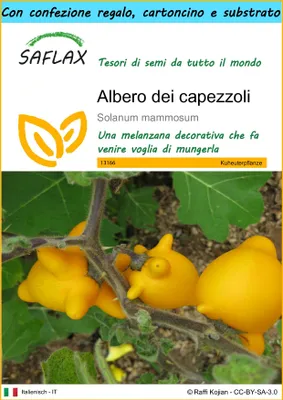 Immagine prodotto di SAFLAX Set regalo - Albero dei capezzoli - 10 semi - Solanum