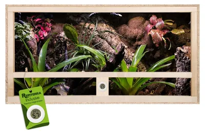 Productafbeelding van Terrarium hout - 100 x 50 x 50 cm - Zijventilatie - Floatglas - Terrarium voor reptielen en amfibieën