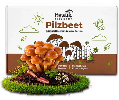 Produktbild von Hawlik Pilzbrut Toskanapilz Pilzbeet-Set – Pilzzucht Garten, 20 Dübel, Pilze anbauen im Freien