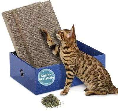 Produktbild von Karton-Krabpaal für Katzen, doppelseitig, kratzfest, mit Ersatzplanken
