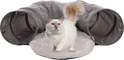 Image de Flamingo Jouet pour chats Gotar Tunnel avec balle gris