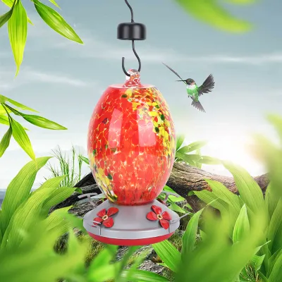 Obrázek produktu pro Krmítko pro ptáky,Kolibříci Krmítko,Nástroj pro krmení ptáků,Zařízení pro krmení ptáků,Dodávky pro ptáky