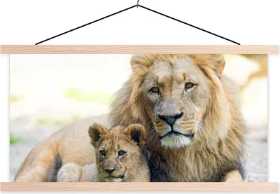 Produktbild von MuchoWow® Textilposter Löwe - Jungtier - Porträt 120x60 cm mit holzfarbenen Rahmen - Klemmleiste