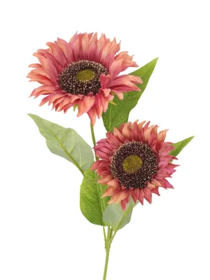 Produktbild von 2474U Künstliche Sonnenblume Altrosa, 60 cm, Premium Kunstblume, realistisch Deko Blume