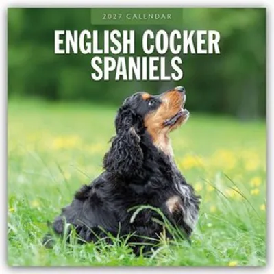 Immagine prodotto di Cocker Spaniel Inglesi - Calendario mensile (16 mesi) dal 2027