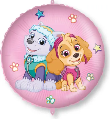Produktbild von Paw Patrol rosa Skye Everest runder Folienballon mit Gewicht, 46cm