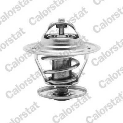 Produktbild von CALORSTAT by Vernet Thermostat Kühlmittel
