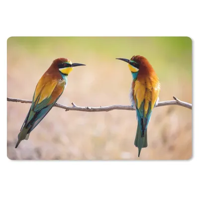 Produktbild von MuchoWow® Schreibtischunterlage Vögel - Bienenfresser - Tiere 60x40 cm - XXL Mauspad - Großes Mauspad