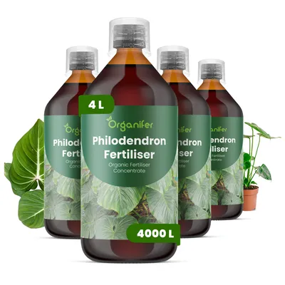 Produktbild von Philodendren Flüssigdünger 4x1L – 2-1-8 NPK – Flüssig-Pflanzendünger für Philodendren – Organifer