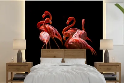 Produktbild von MuchoWow® Fototapete für Wohnzimmer oder Schlafzimmer Wandtapete Vinyl Motivtapete Flamingos - Vögel - Federn - Schwarz - 300x300 cm - Wanddekoration