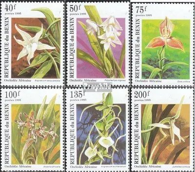 Produktbild von Briefmarken Benin 1995 Mi 710-715 (kompl.Ausg.) postfrisch Orchideen