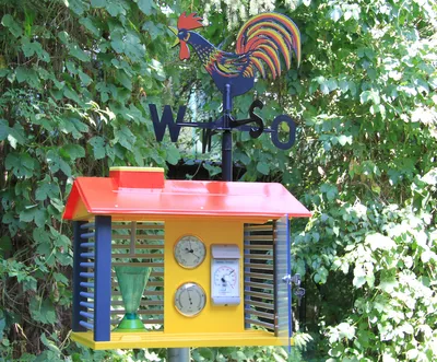 Obrázek produktu pro Wissner® aktiv lernen Učící se hračka meteorologická stanice a meteorologická mřížka, pro interiér a exteriér, různé varianty Měřicí přístroje Teploměr Barometr Vlhkoměr