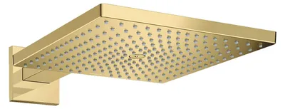 Obrázek produktu pro HANSGROHE 26239990 Horní sprcha Raindance E 300 1jet