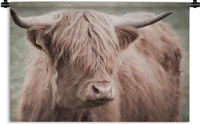 Produktbild von MuchoWow® Wandteppich Wandbehang Schottischer Highlander - Tiere - Porträt 120x80 cm Tapisserie Dekoration Wandtuch - Wanddekorationen - Wandtücher