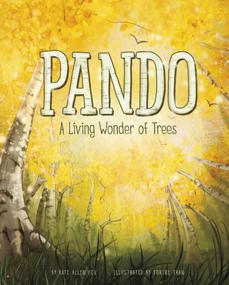 Produktbild von Pando