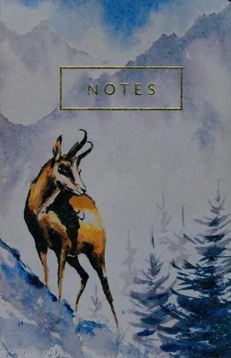 Produktbild von Notes Góry ekologiczny w kropki