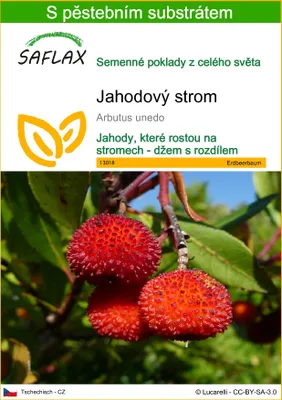Obrázek produktu pro SAFLAX - jahodový strom - Arbutus unedo - 50 Semena - S pěstebním substrátem bez klíčků