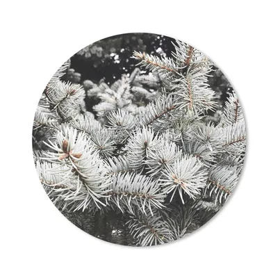 Produktbild von MuchoWow® Mauspad Mousepad Baum - Äste - Winter 30x30 cm - Mousepads - Maus Mat - Pad - Mausunterlage - Tischunterlage - Schreibtischmatten