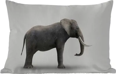 Produktbild von MuchoWow® Outdoor Kissen - Elefant auf weißem Hintergrund - 50x30 cm - Wetterfest - Lounge Kissen - Sofa kissen - Wohnzimmer Dekoration