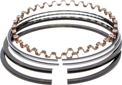 Obrázok produktu pre Kolbenringe für Briggs & Stratton 7-8 PS 299569 391669 393881 499921 690014