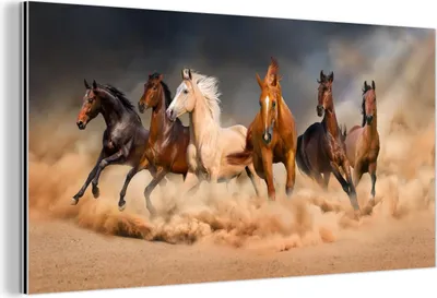 Produktbild von MuchoWow Wanddekoration Metall Metallbild Wandkunst 120x60 cm Pferde - Tiere - Sand - Stoff MuchoWow Aluminium Gemälde - Metalbilder