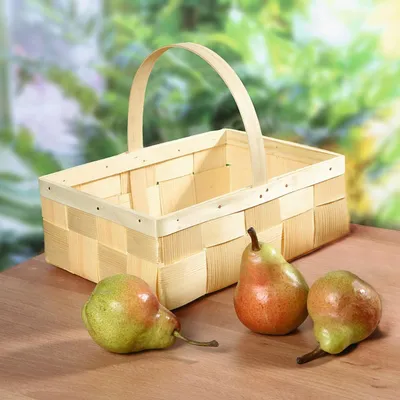 Obrázok produktu pre Košík na žehlenie „Span“