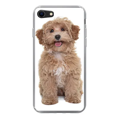 Produktbild von MuchoWow® Handyhülle Schutzhülle Hülle für iPhone SE 2022 Hund - Haustiere - Fell Silikon Softcase Handy Hülle - Schutzhülle