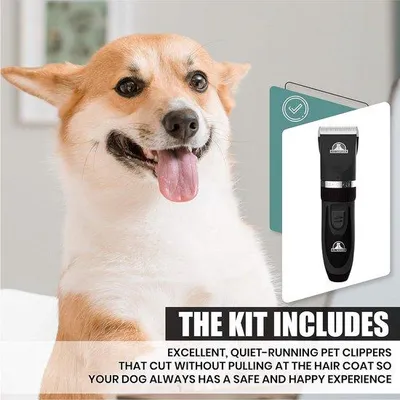 Image de Brosse électrique pour chiens, chats et animaux, tondeuse sans fil