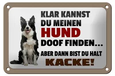 Produktbild von Blechschild Spruch 18x12cm klar kannst du Hund doof finden