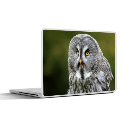 Produktbild von MuchoWow® Laptop Aufkleber Sticker Cover Vogel - Eule - Grau 36.5x27.5 cm - Laptop-Sticker