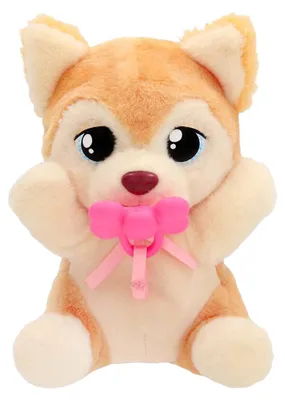 Image de Jouet doux Baby Paws Yummy Shiba Inu - 20cm