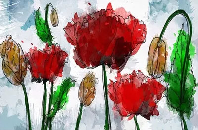 Produktbild von Kunstdruck auf Leinwand - Aquarell-Mohn - Wanddeko, Canvas cm. 50x70