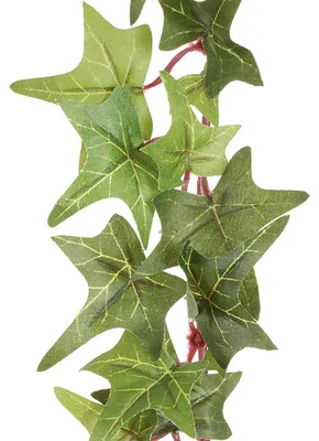 Produktbild von Künstlicher Efeu: PITSBURGH EFEUGIRLANDE, ca 180cm.