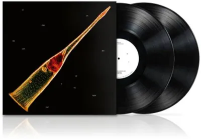 Immagine prodotto di Lebbroso: Leprous: Melodies Of Atonement (180g) - - (LP / M)