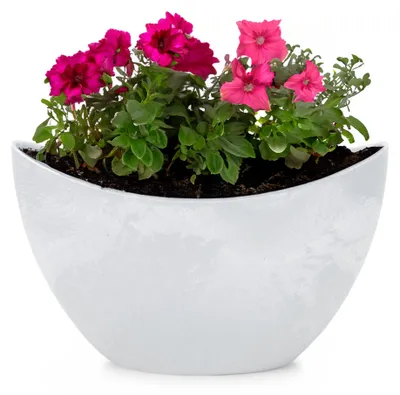 Produktbild von Hohe Pflanzschale oval Vintage hell-grau 20 x 12 cm wetterfest