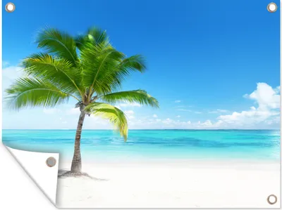 Produktbild von MuchoWow® 120x90 cm Outdoor-Poster Gartendeko Sichtschutz Garten Poster für den Garten  Palme - Strand - Meer - Sommer