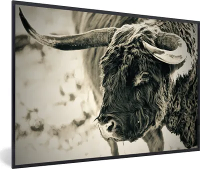 Produktbild von MuchoWow® MuchoWow® Gerahmtes Poster Schottisches Hochlandrind - Schnee - Hörner 30x20 cm - Poster mit zchwarzem Bilderrahmen - Kunstdruck - Bild-Poster