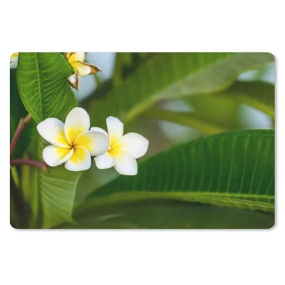 Produktbild von MuchoWow® Mauspad Mousepad Blumen - Gelb - Blätter 27x18 cm - Mousepads - Maus Mat - Pad - Mausunterlage - Büroartikel - Desk Matten