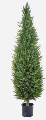 Produktbild von artplants.de Deko Zypresse MEKBUDA, grün, 150cm - Künstlicher Zeder