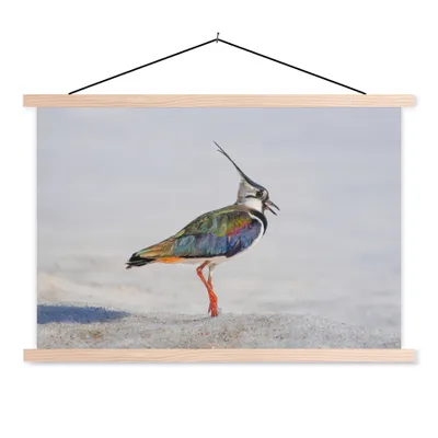 Produktbild von MuchoWow® Textilposter Vogel - Tiere - Sand - Kiebitz 120x80 cm mit holzfarbenen Rahmen - Aufhängeset
